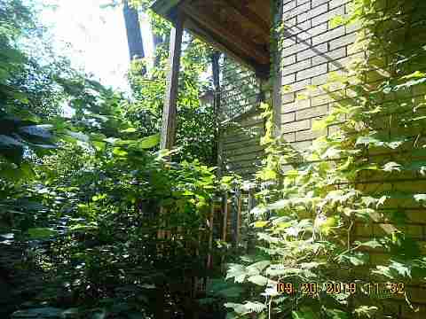 3303 Lawrence (7)_m.jpg